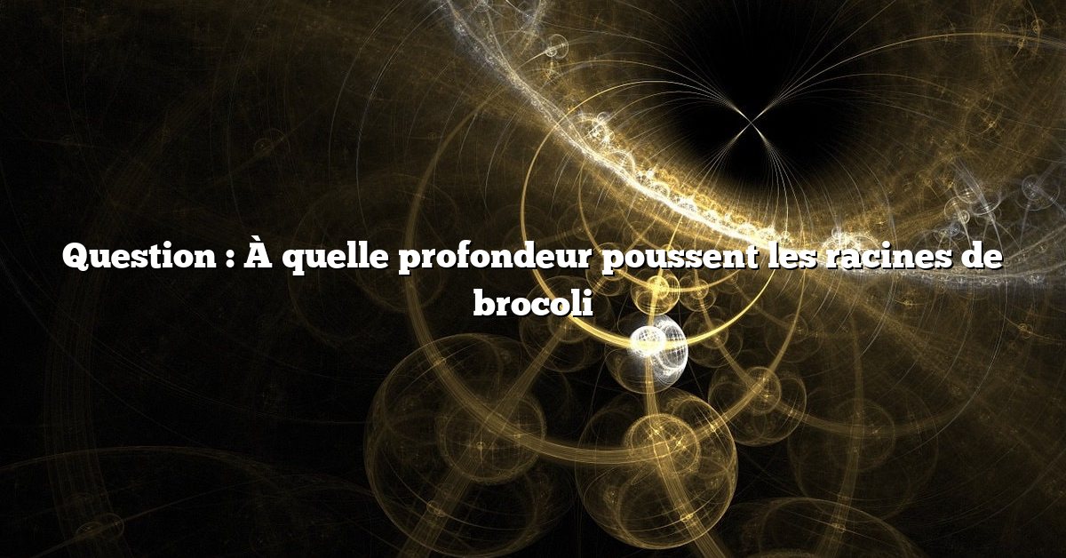 Question : À quelle profondeur poussent les racines de brocoli